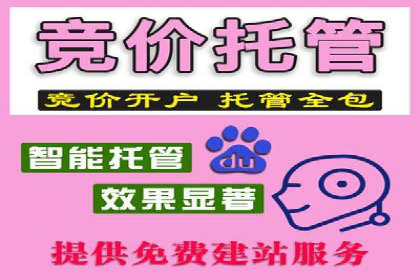 百度推广代运营策略解读：如何精准投放广告